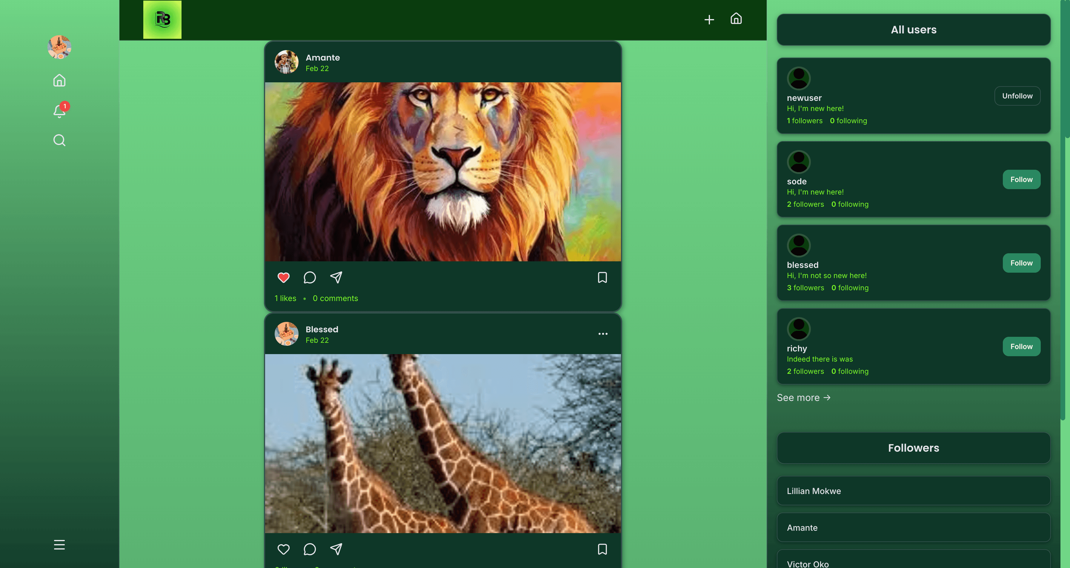Social Media Feed home page feed view interface